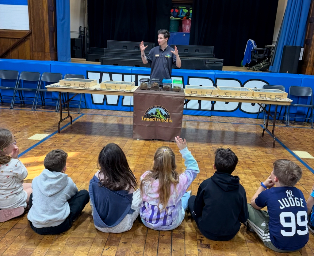 students watching bug assembly