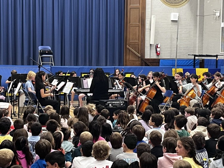 orchestra
