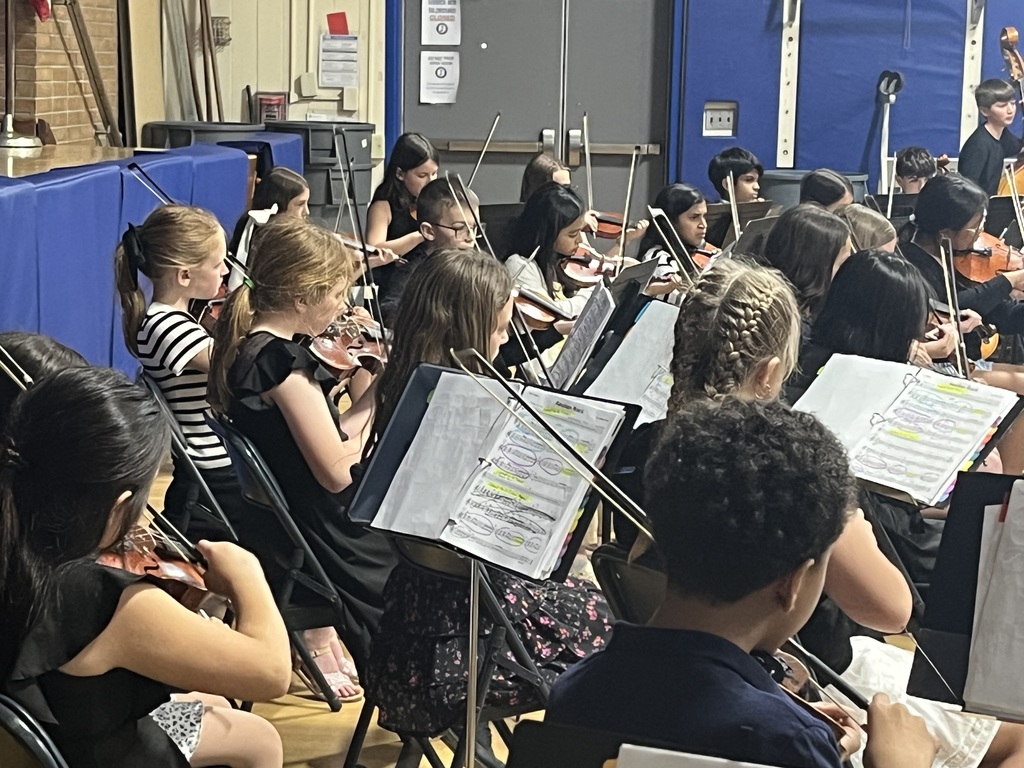 Orchestra students performing