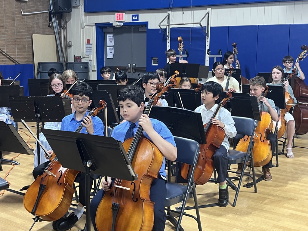 Orchestra students performing