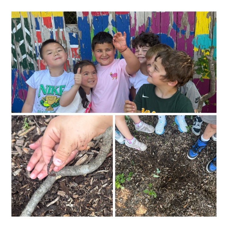 students play at the playground