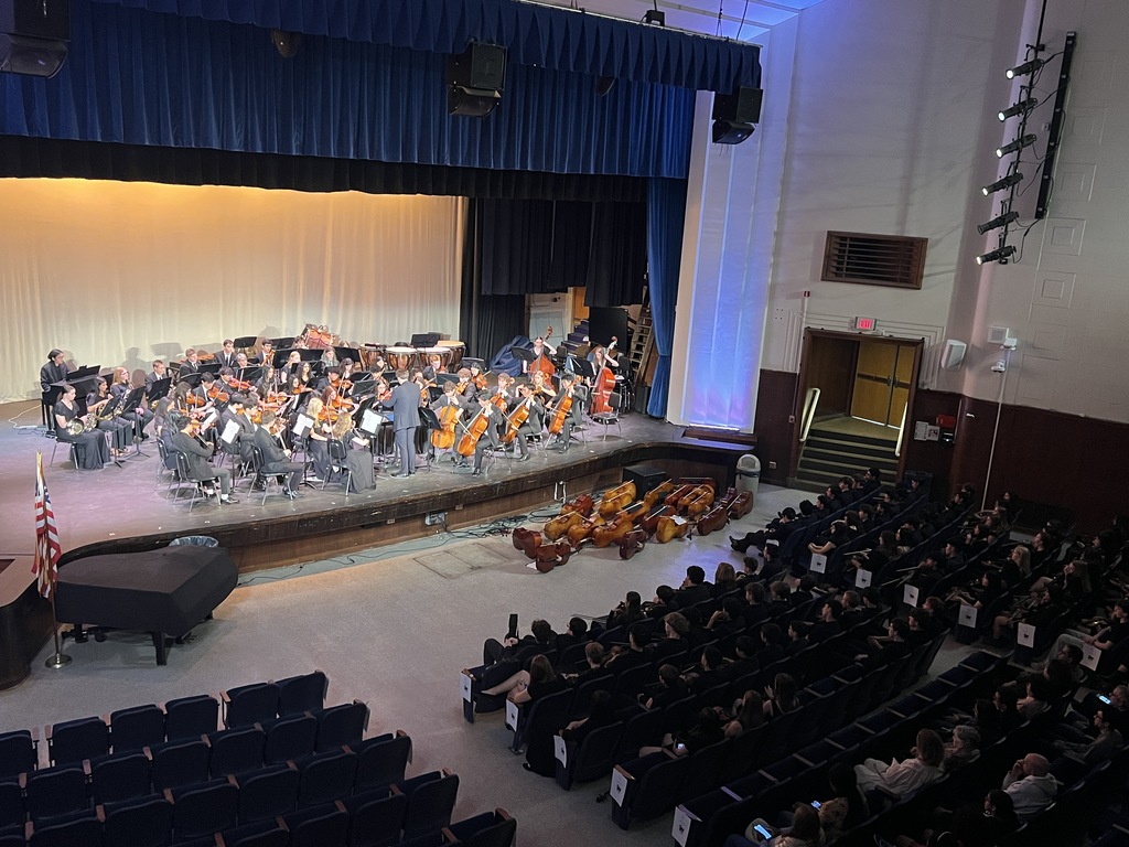 Orchestra Concert