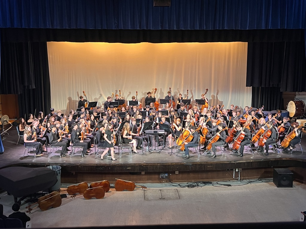 Orchestra Concert