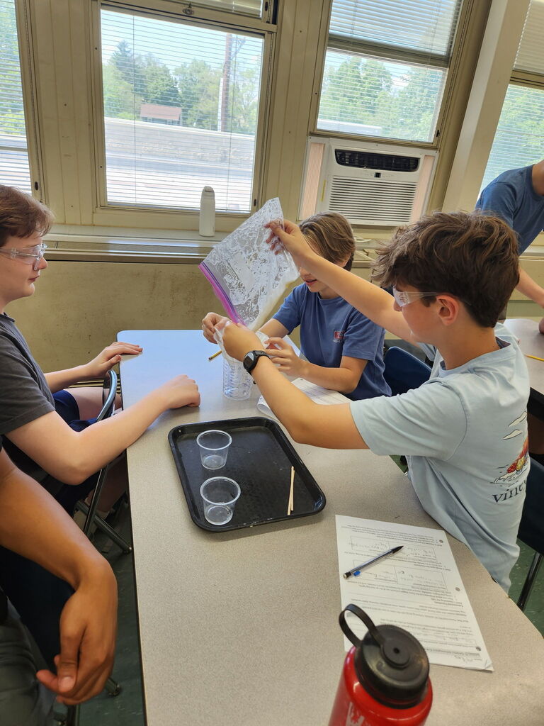 Our 8th graders are diving into the fascinating world of genetics! After studying animals, students shifted their focus to plants this week, discovering that plants contain DNA just like humans. Through a hands-on banana DNA extraction lab and detailed flower dissections, students explored the science behind plant reproduction and gained a deeper understanding of heredity and life sciences in action.