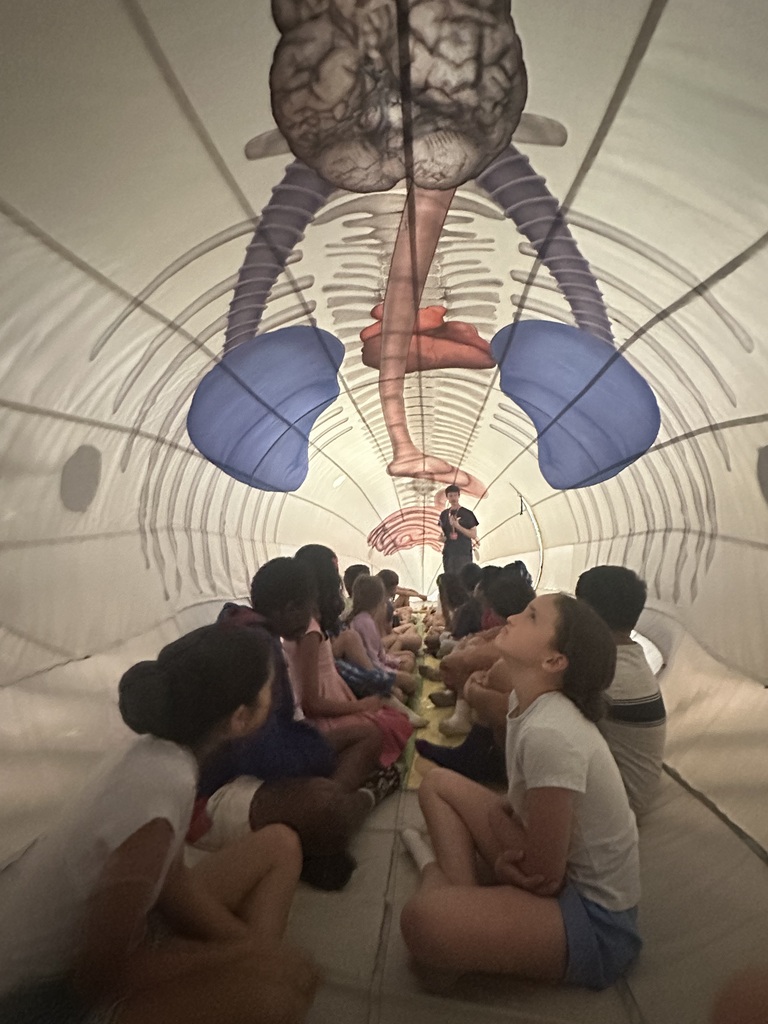 Students inside the whale looking at the anatomy