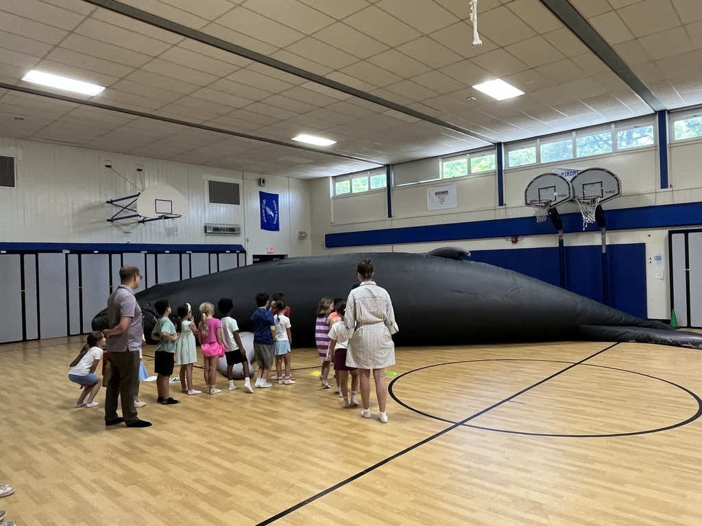 Student entering the whale