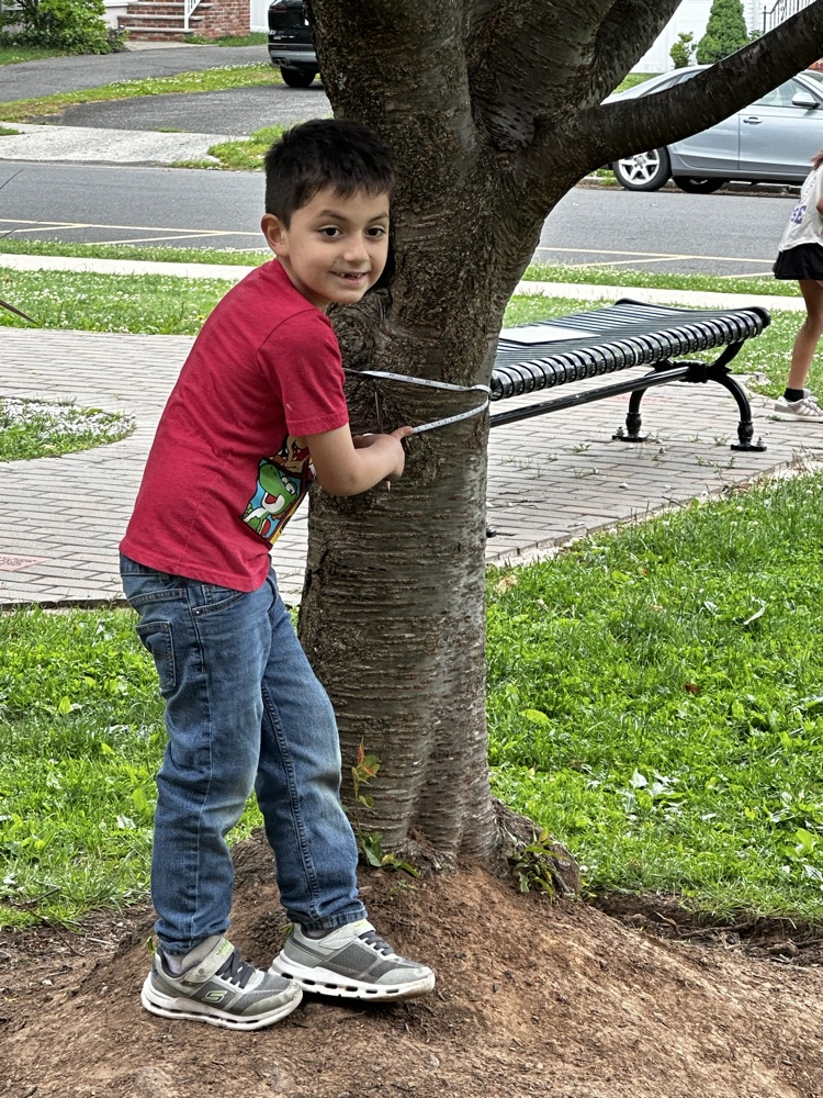 Measuring Practice