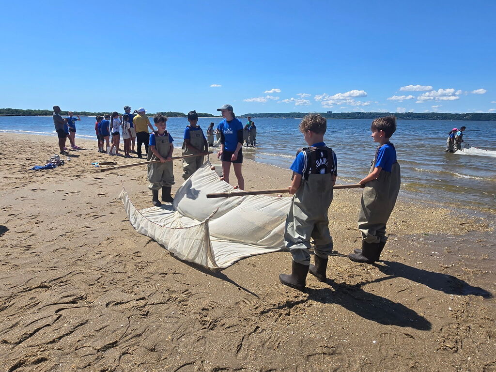 The students seining at Sandy Hook.