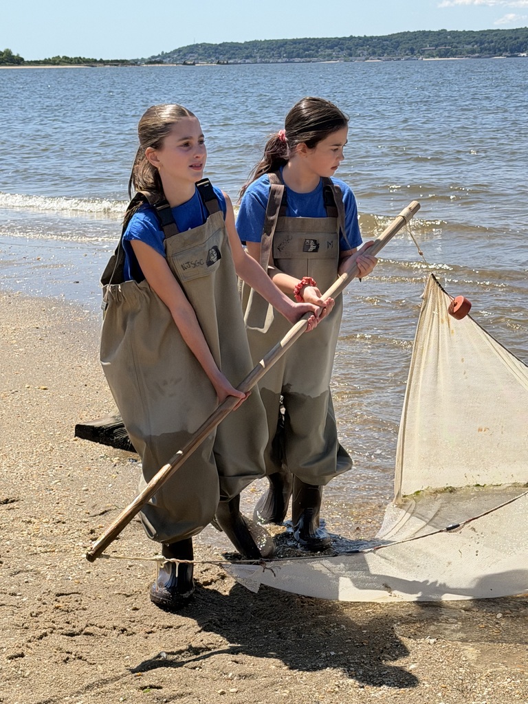 The students seining at Sandy Hook.