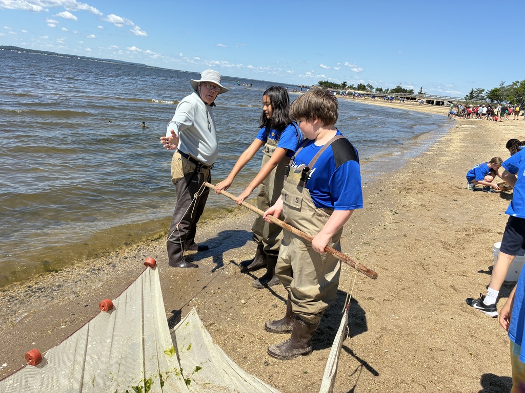 The students seining at Sandy Hook.