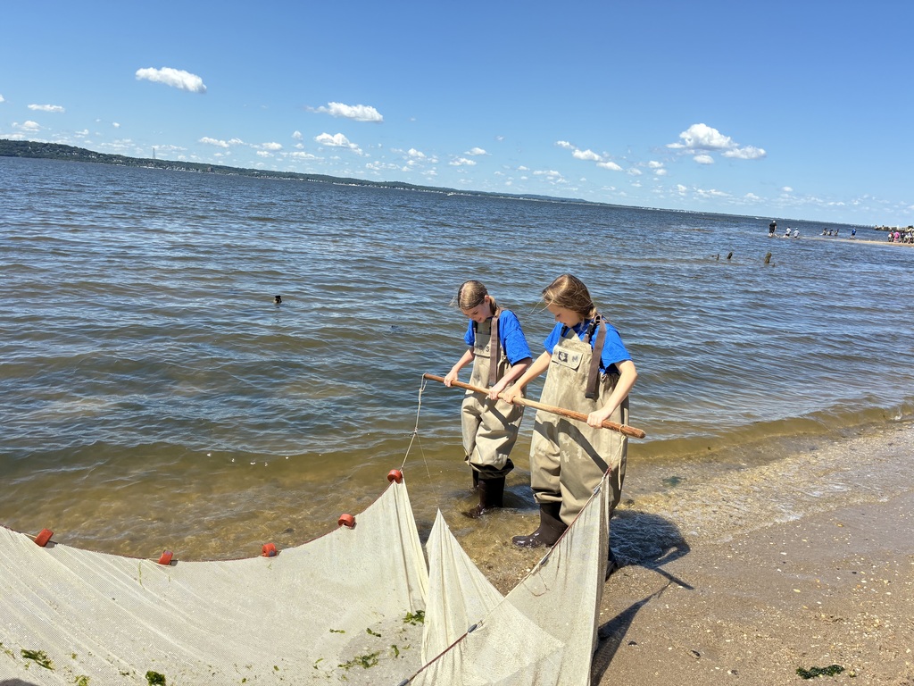 The students seining at Sandy Hook.