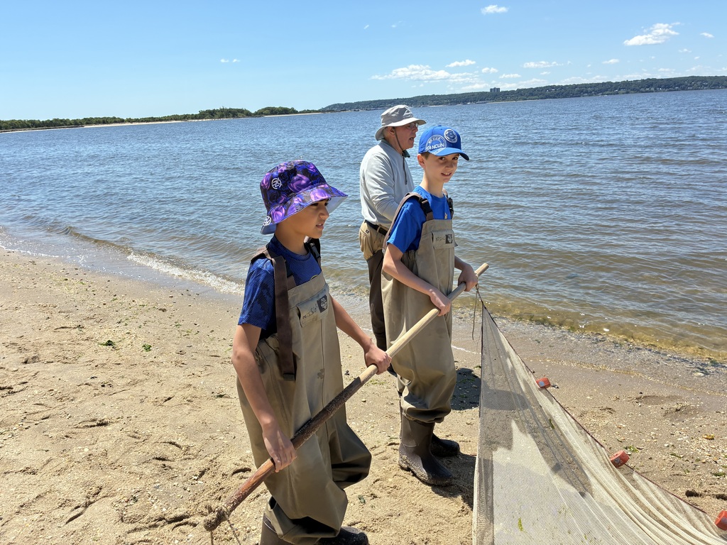 The students seining at Sandy Hook.