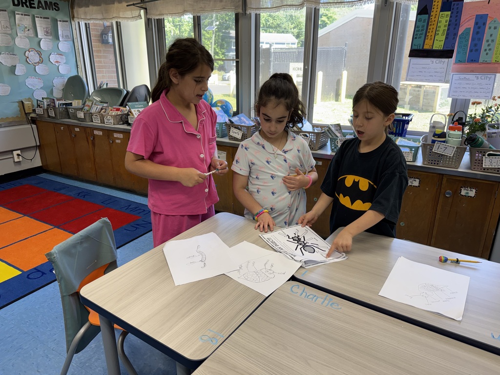 Students designing their insect.
