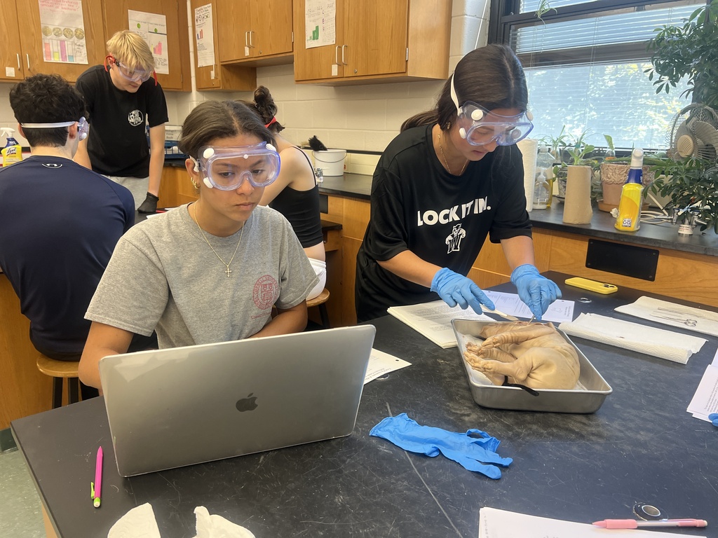 Pig Dissection 