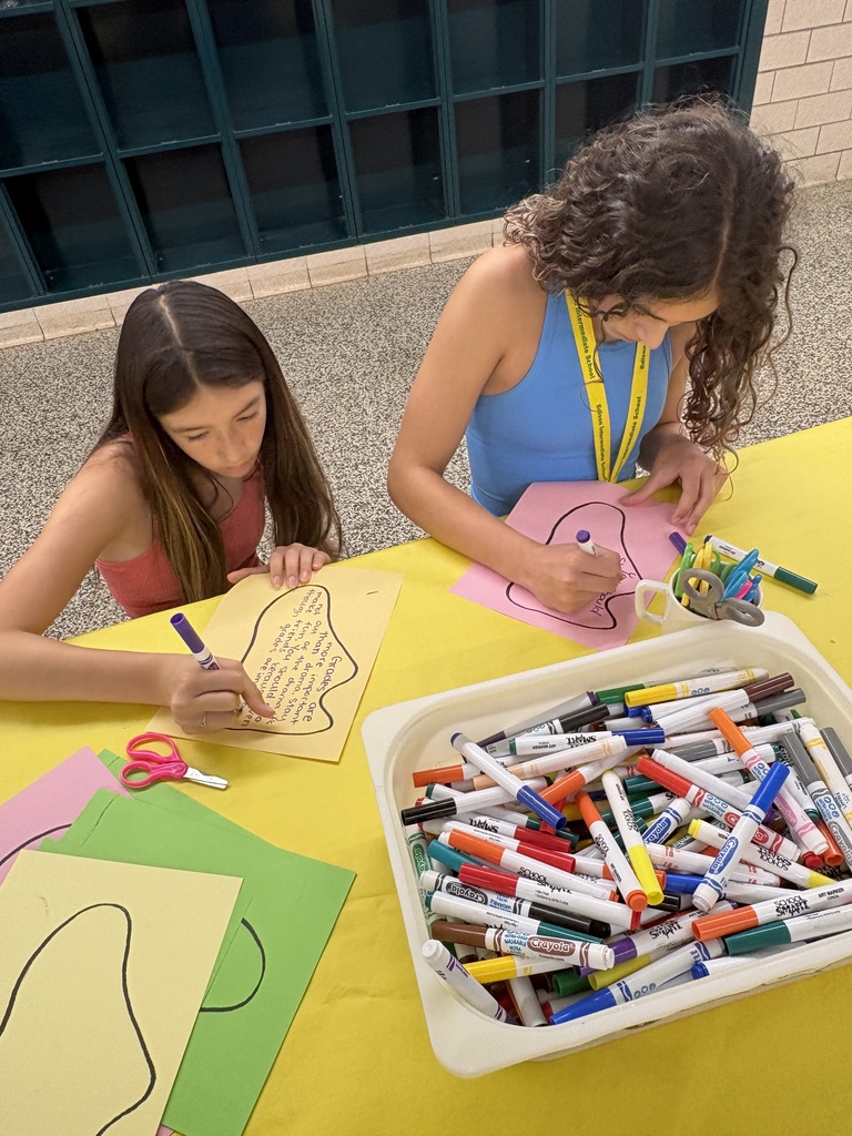 Students  writing advice