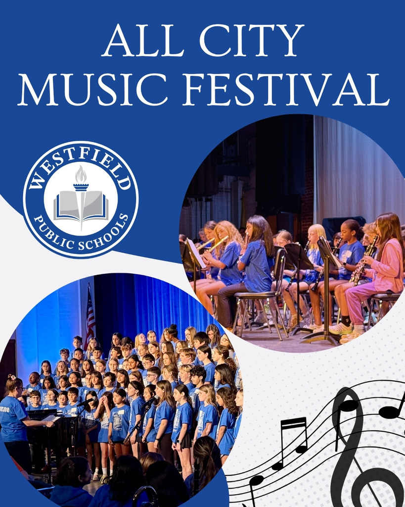 All City Music Festival graphic