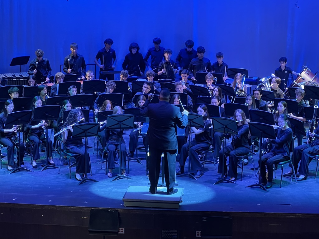 WHS Bands