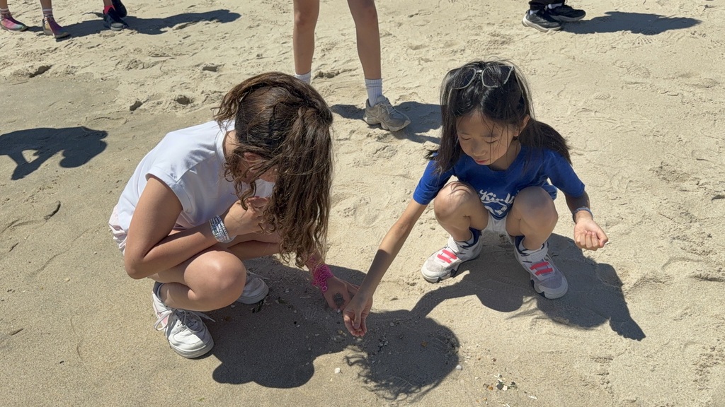 Sandy Hook Field Trip