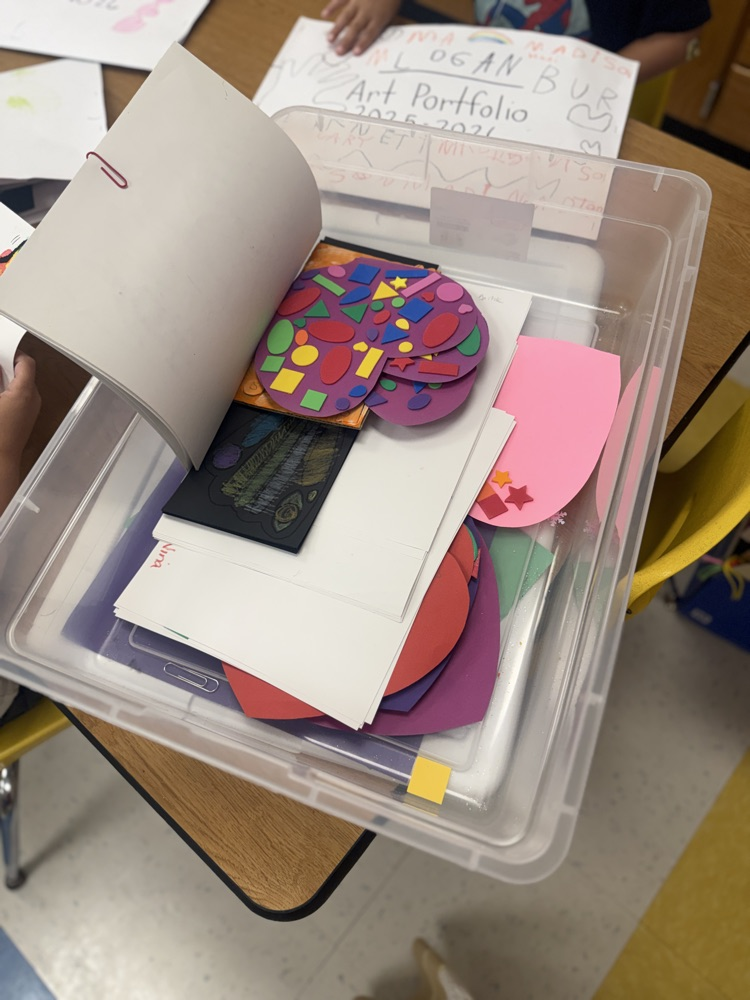 students organized their art portfolio