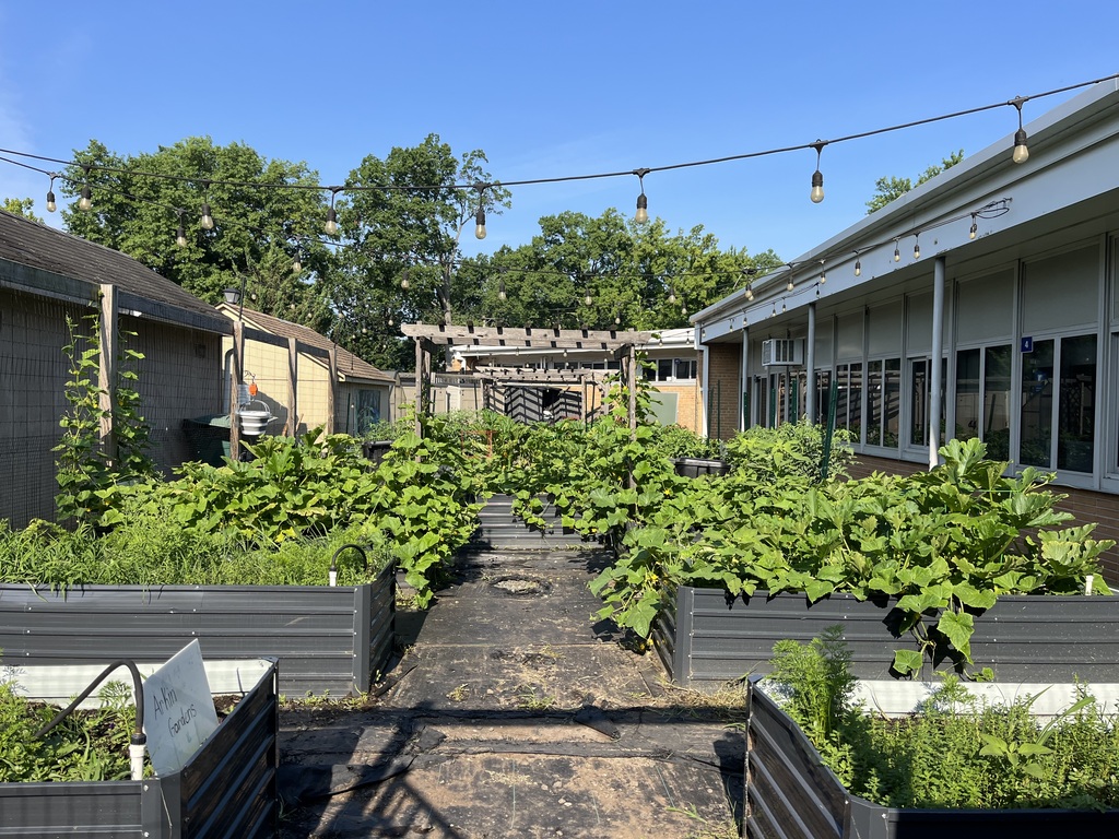 The garden is thriving.