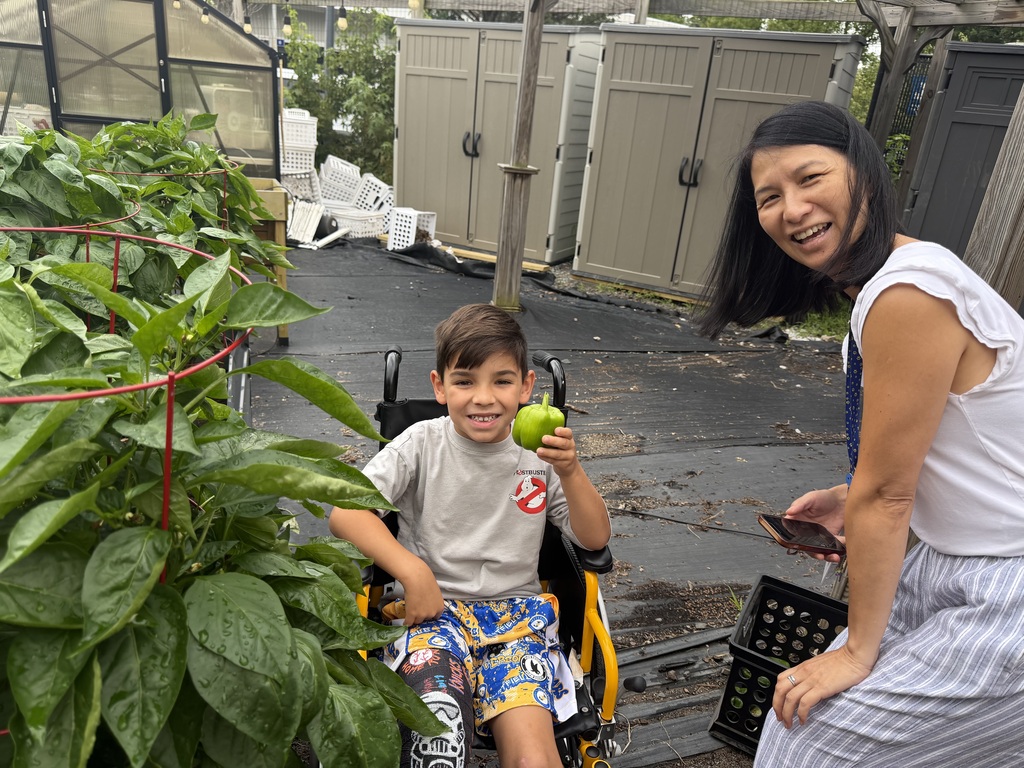 Principal and student harvesting peppers.