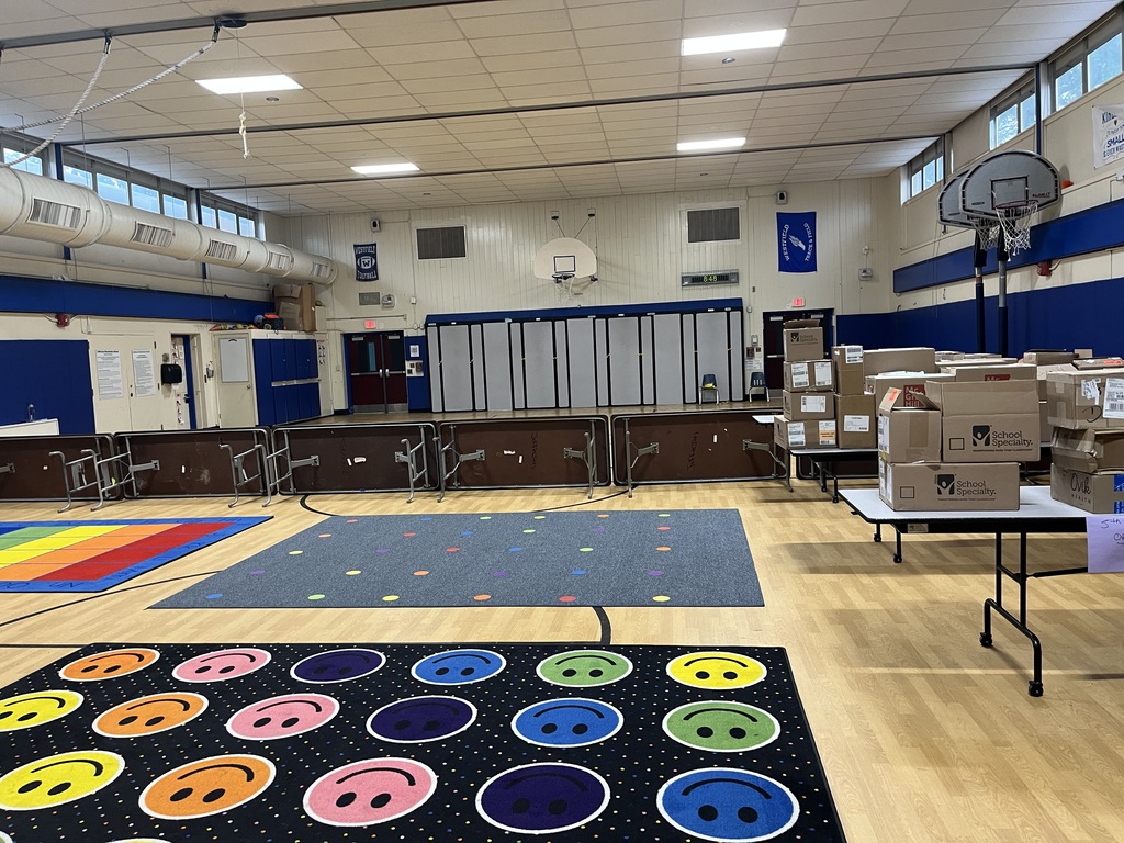 The rugs are sanitized and steam cleaned.