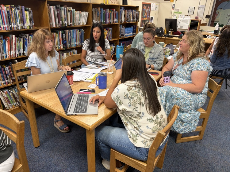 professional learning day