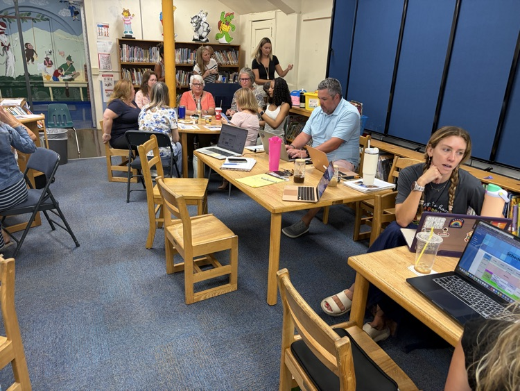 professional learning day