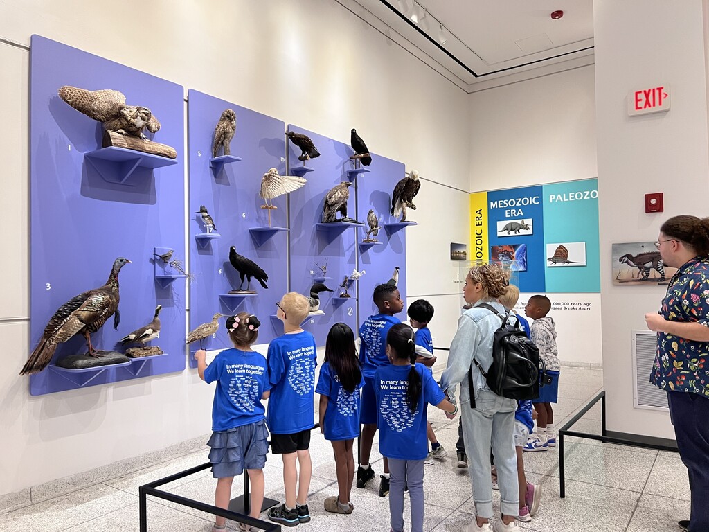 Students at the Museum