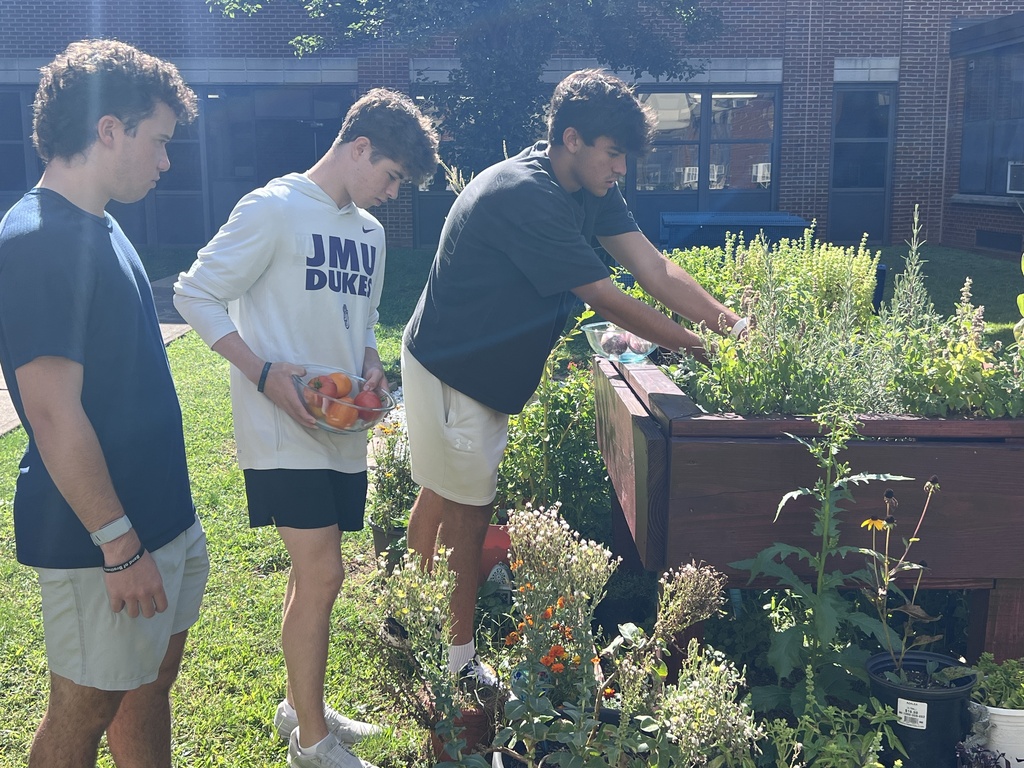 WHS Garden