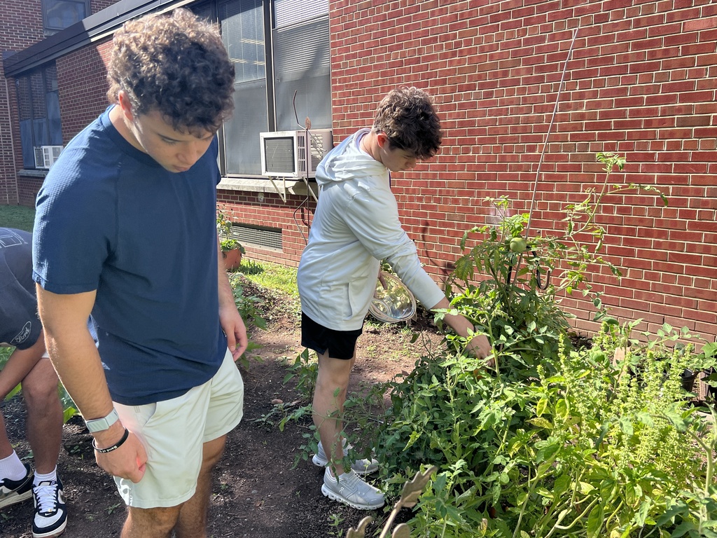 WHS Garden