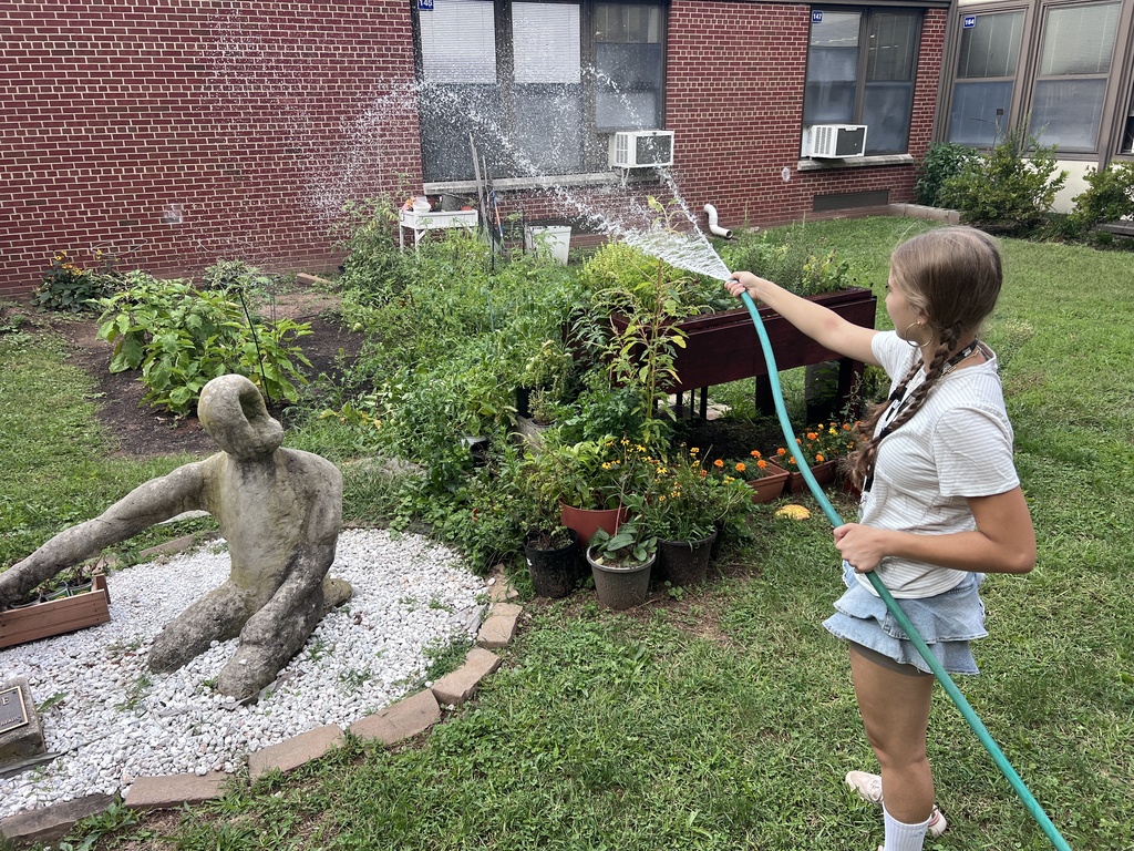 WHS Garden