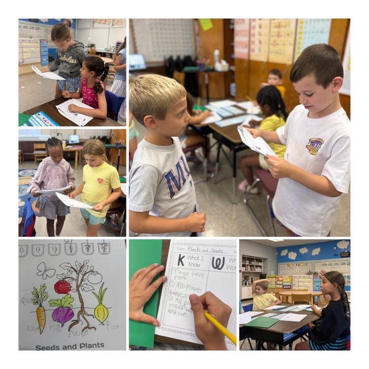 students engage in a lesson about seeds and plants