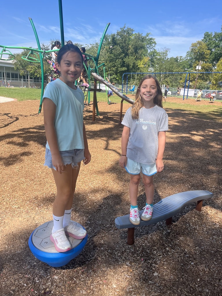 Students enjoy the new balance beam and stepping pods.