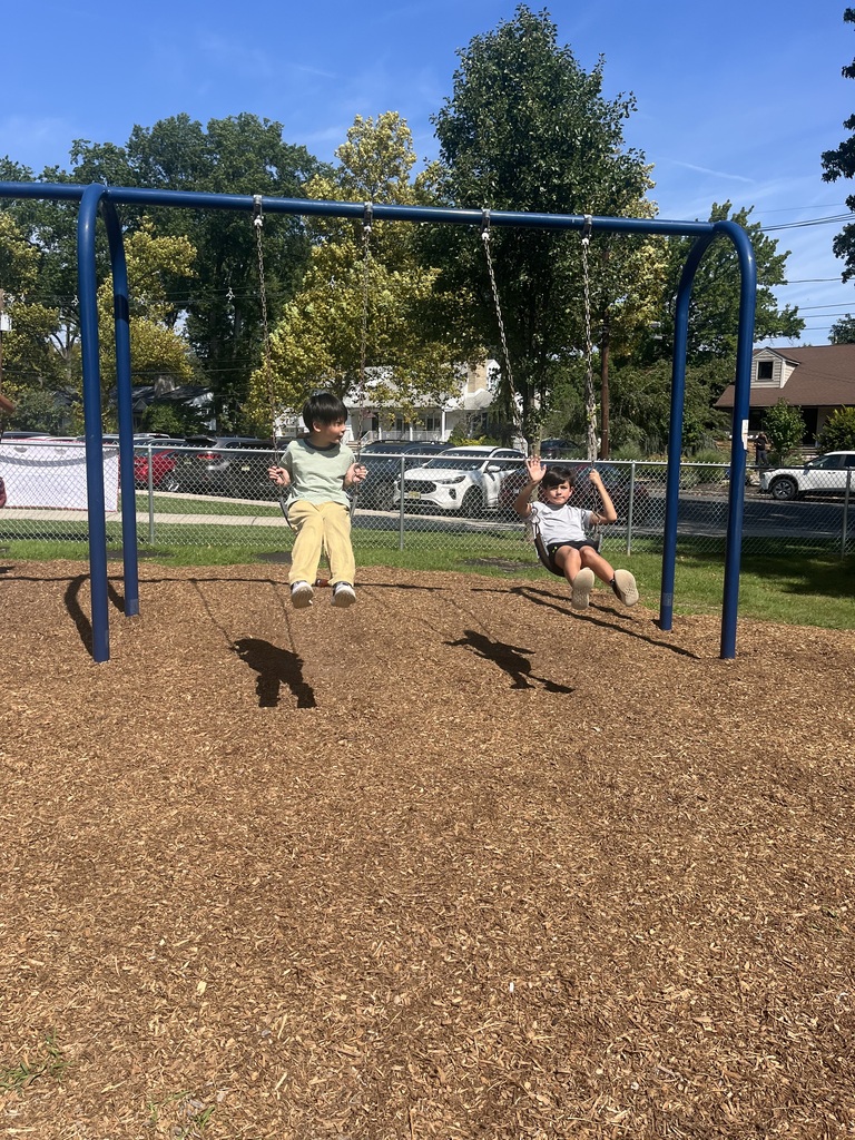 Students enjoying the swings.
