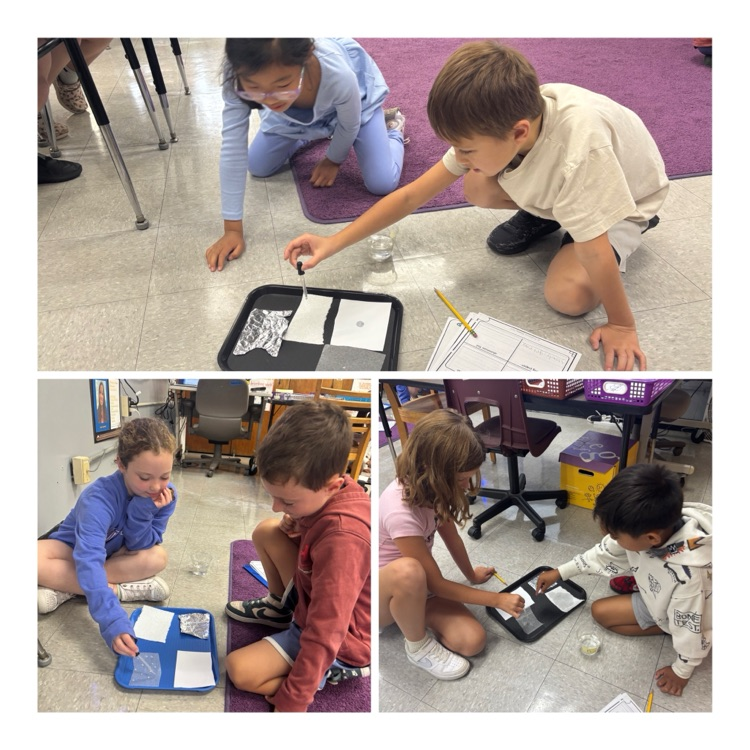 students engage in a science experiment