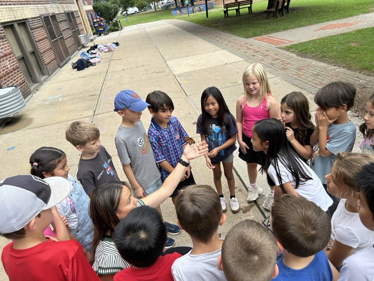 students releasing butterflies