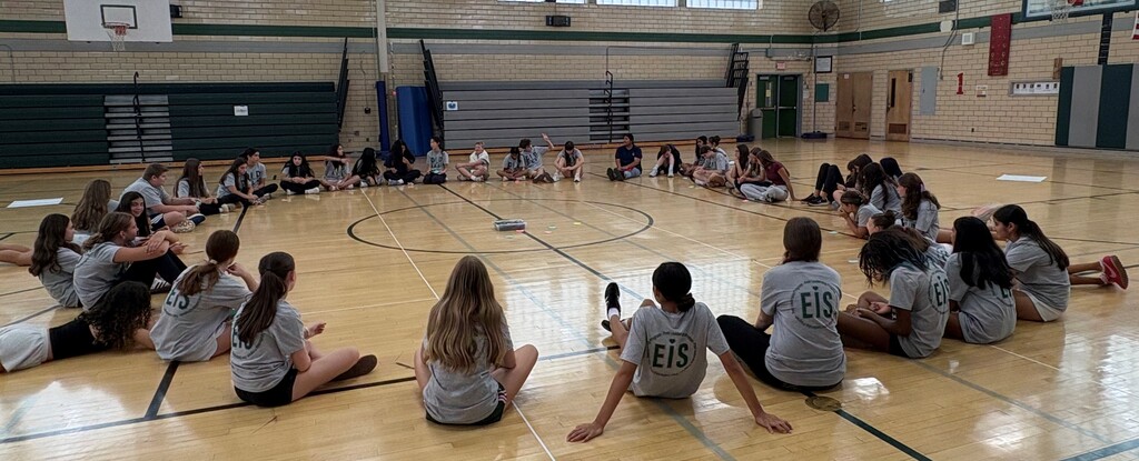 Peer leaders completing leadership activities