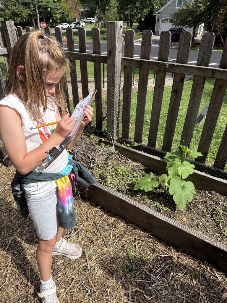 student observing pumpkin plants
