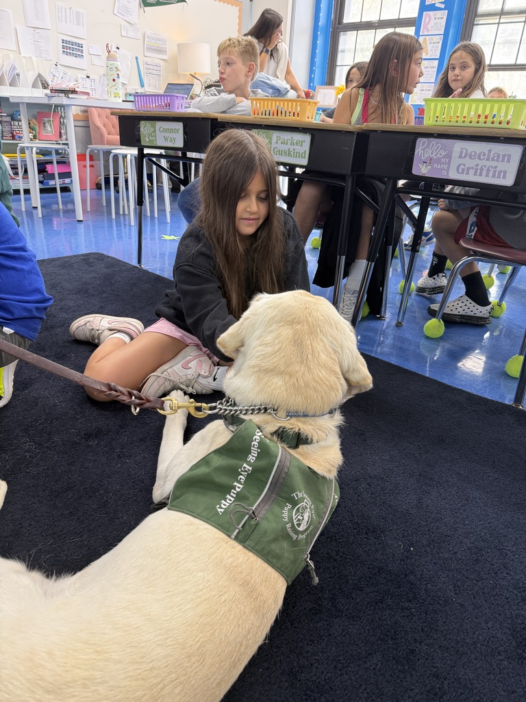therapy dog with student on the rug
