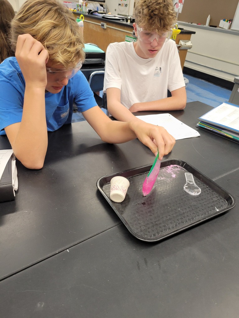 Students looking at bath bombs