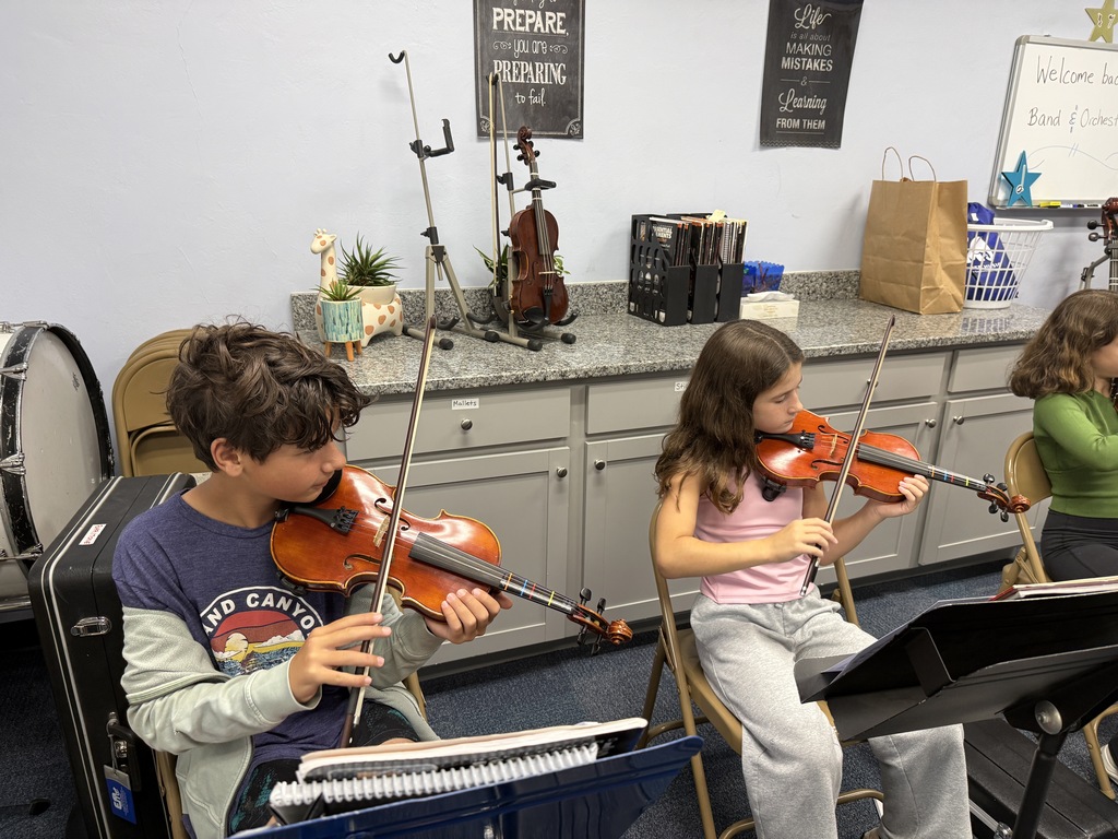 small group of students playing their string instruments