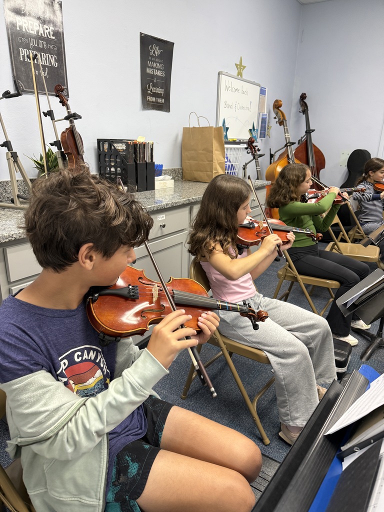 small group of students playing their string instruments