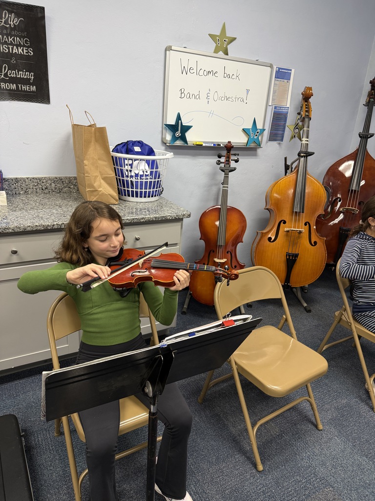 student playing her string instrument
