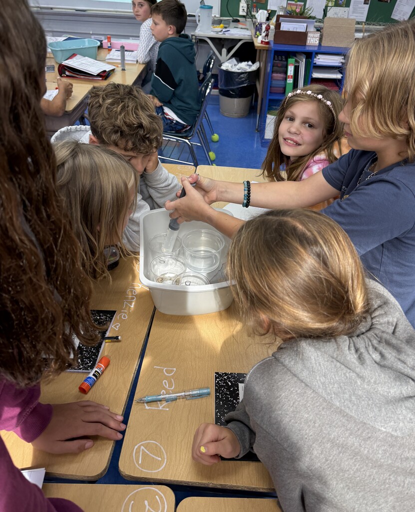 a group of students working together at their desks, one student squirting water in a cup, for a science experiment
