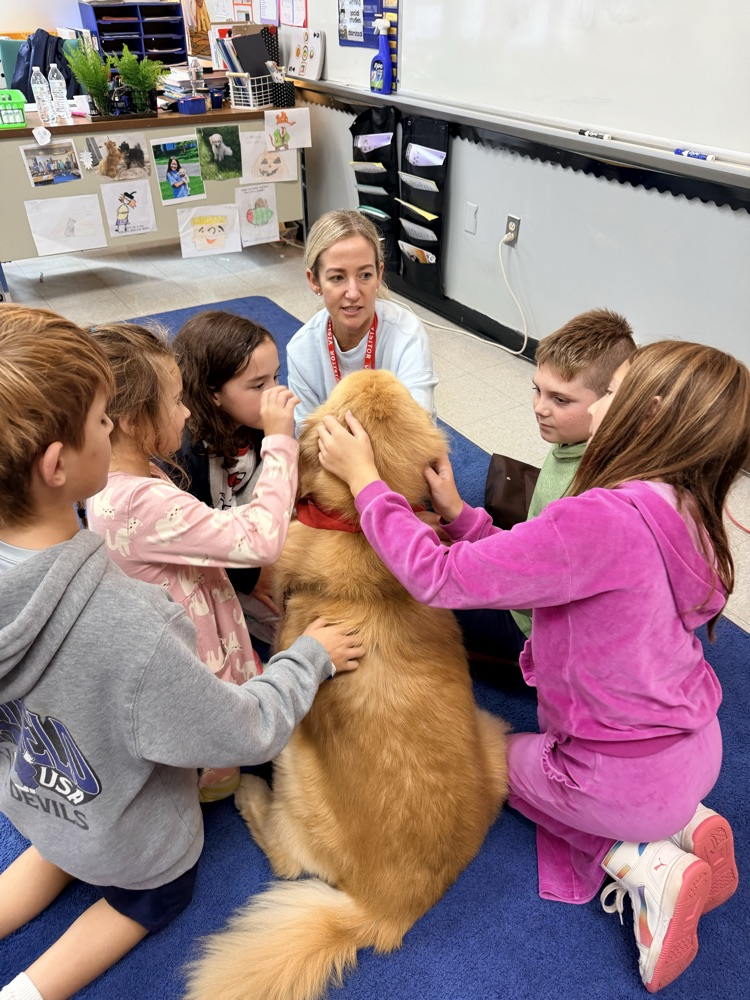 students enjoy a visit from a therapy dog