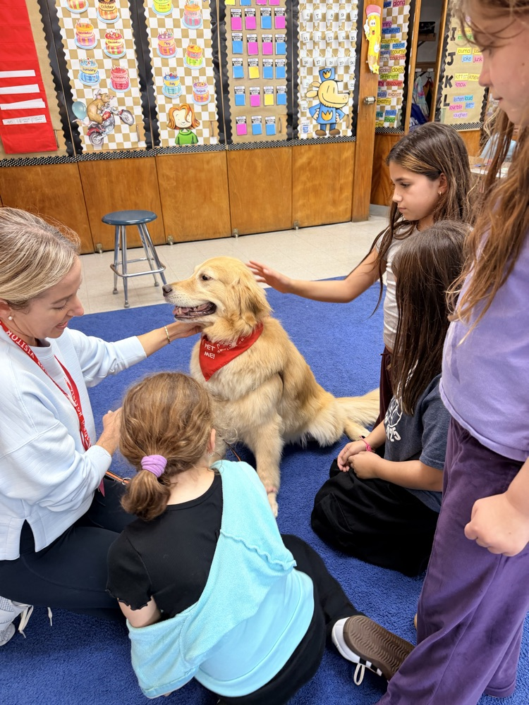 students enjoy a visit from a therapy dog