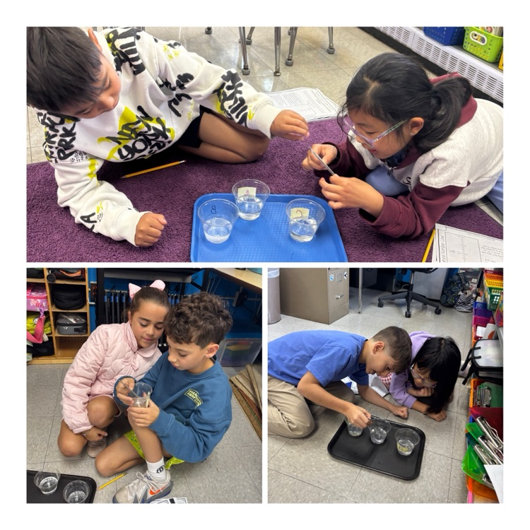 third grade students engage in a science experiment