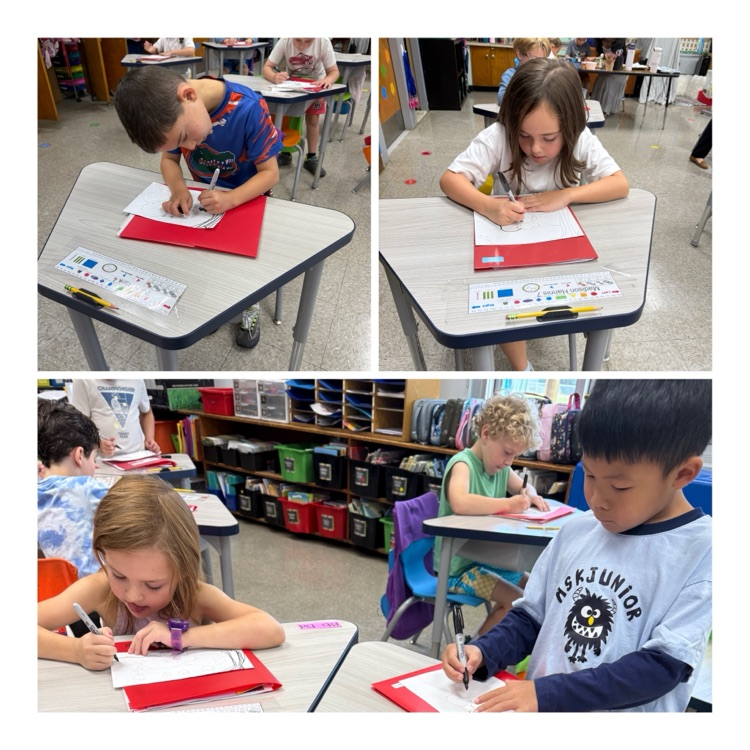 students engage in a directed drawing activity