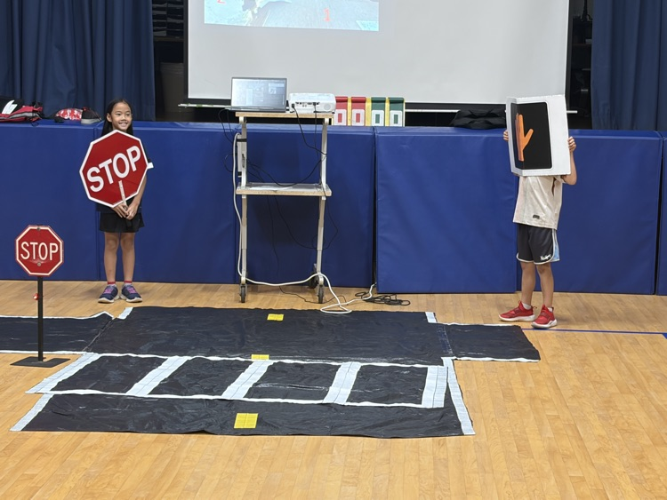 pedestrian safety assembly